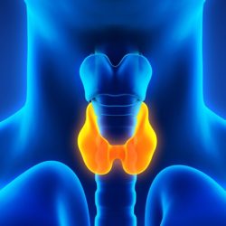 Thyroid Cancer