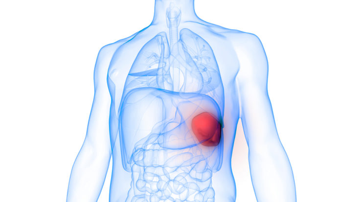 spleen cancer ayurvedic treatment